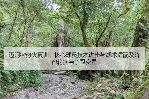 mai-a-mi-re-huo-xia-xun-he-xin-qiu-yuan-ji-shu-jin-bu-yu-zhan-shu-shi-pei-ji-zhen-rong-lun-huan-yu-zheng-guan-bian-liang-2-390.jpg